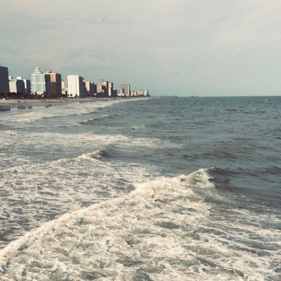 Meet your Posher, Lizzie - Picture 1 of 1